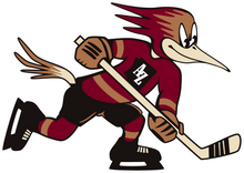 Tucson Roadrunners