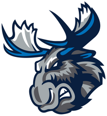 Manitoba Moose