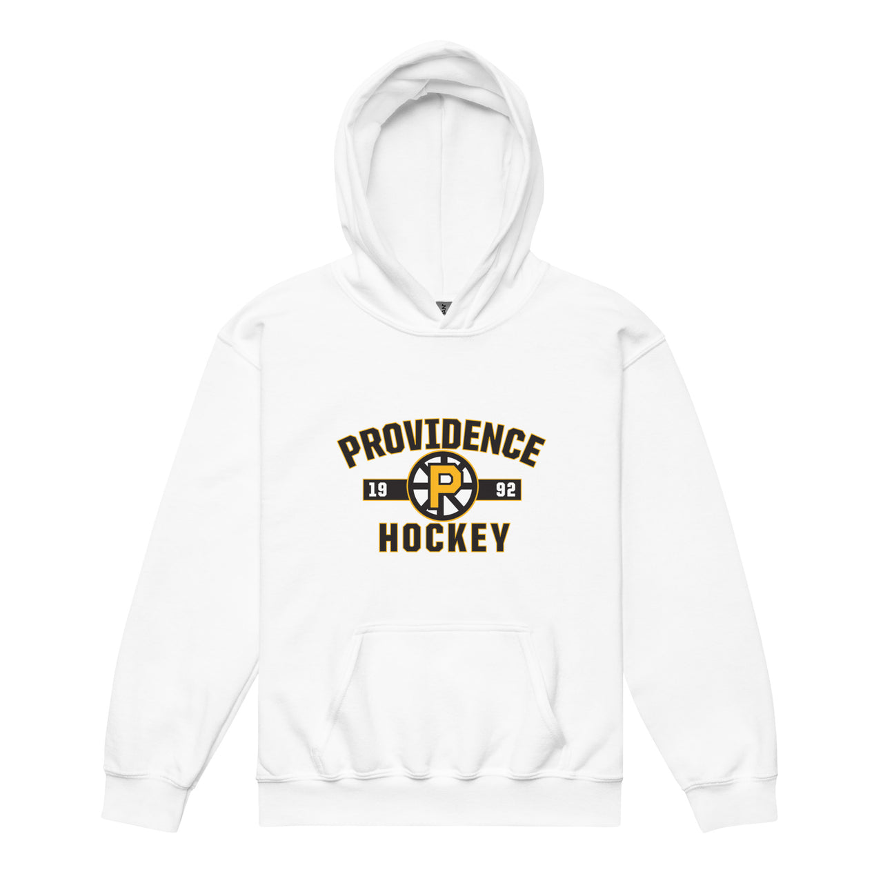 Providence Bruins Established Logo Youth Pullover Hoodie